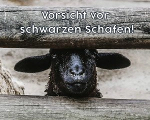 Schwarzes Schaf