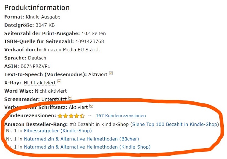 Wie Das Geld Verdienen Mit Ebooks 21 Funktioniert Nebenbeionline Nebenbeionline De