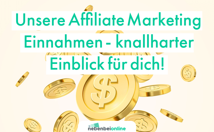 Affiliate Marketing Einnahmen