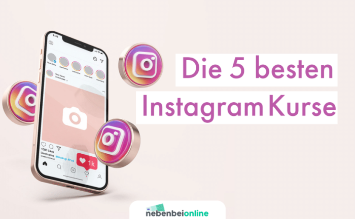 Die besten Instagram Kurse für mehr Follower und Geld