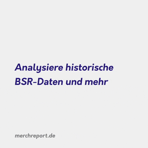 Merchreport Kosten