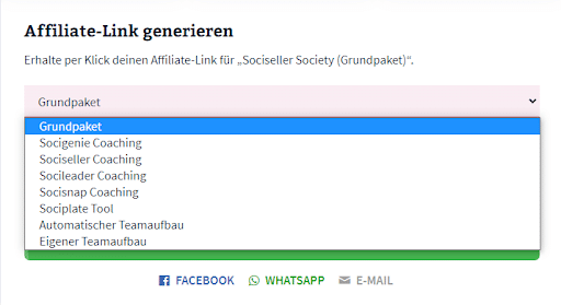 Sociseller Geld verdienen
